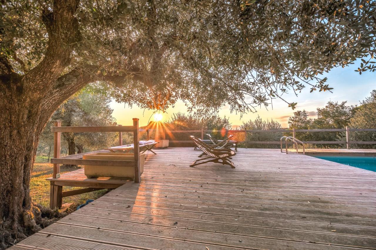 Alpaca Country House Pontedera Exterior foto